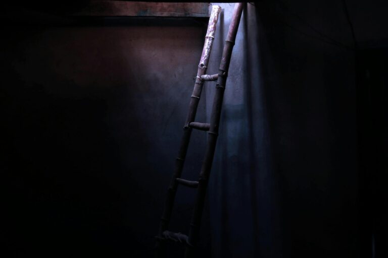 Daek Bamboo Ladder Against Wall in Dark Room